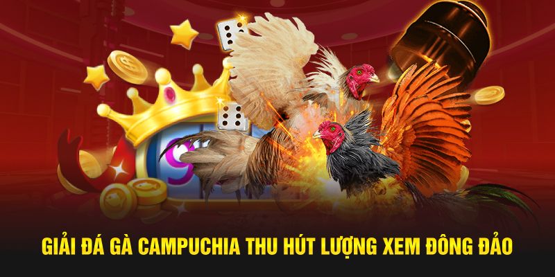 Giải đá gà Campuchia thu hút lượng xem đông đảo