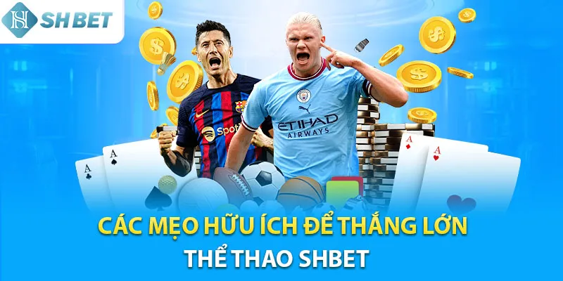 Mẹo hữu ích khi tham gia cá cược thể thao tại Shbet
